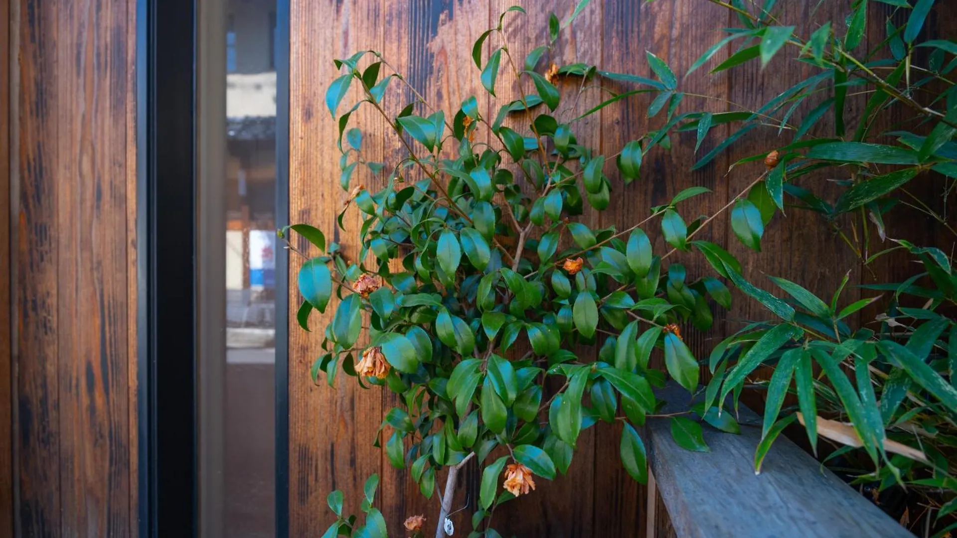 美築八坂 Apartment Kyoto