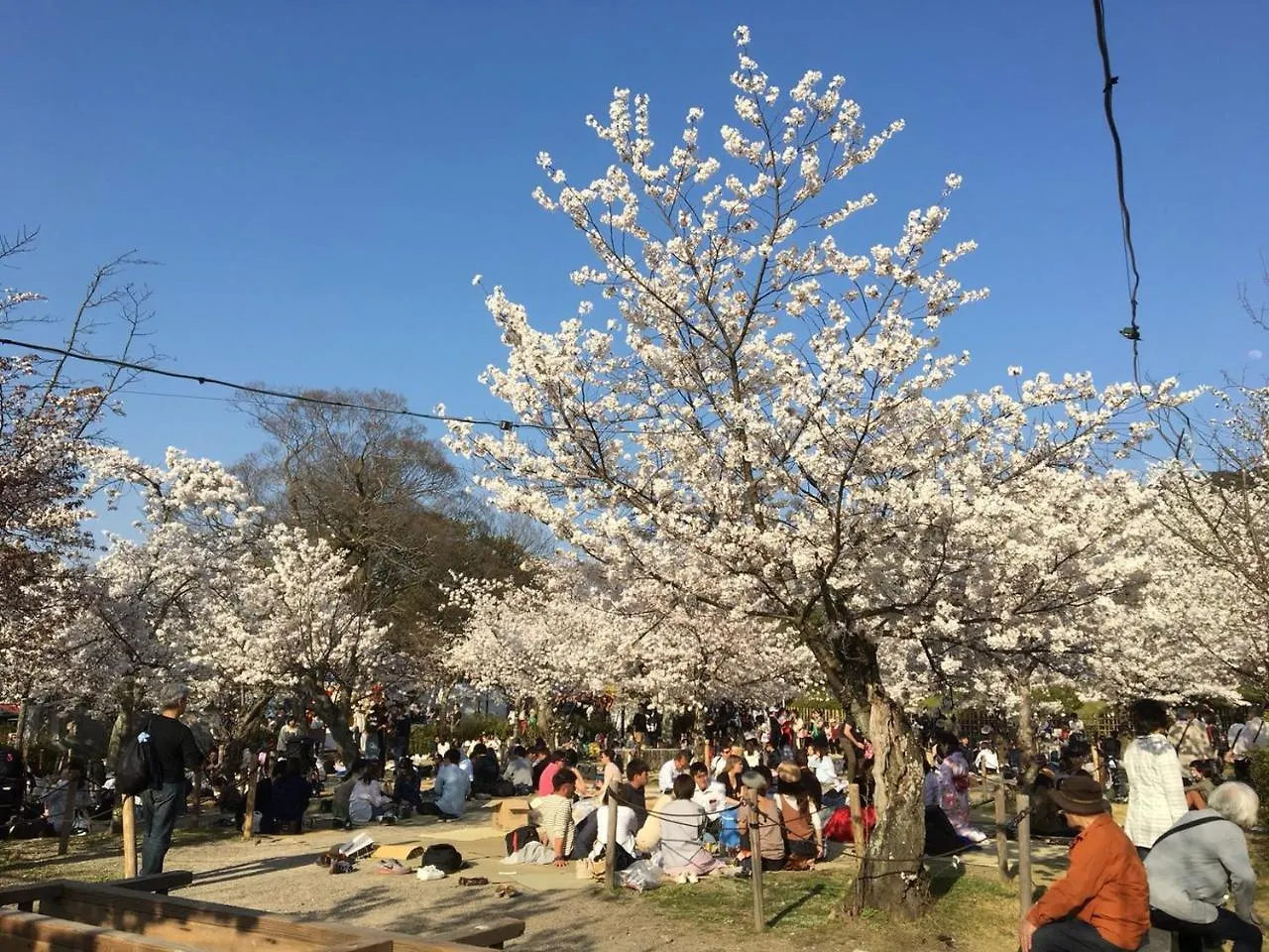 京都市美築八坂アパートメント 0*, 京都市