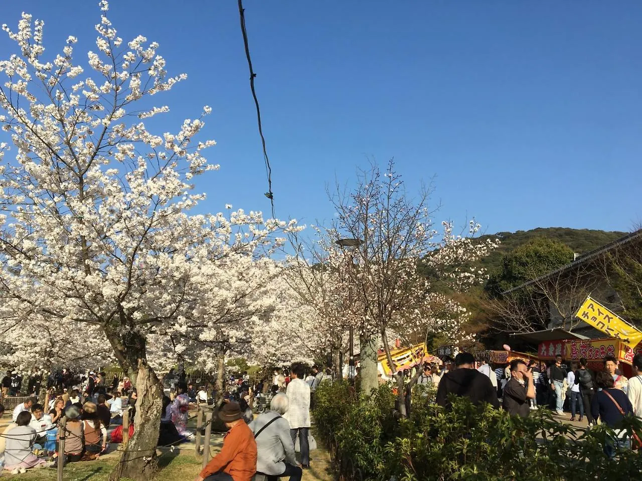 Homestay 美築八坂 Apartment Kyoto Japan